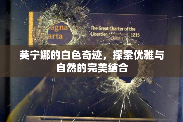 芙宁娜的白色奇迹，探索优雅与自然的完美结合