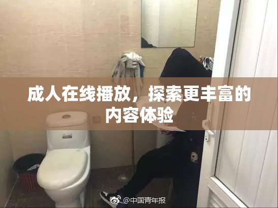 成人在线播放，探索更丰富的内容体验