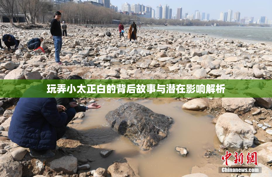 玩弄小太正白的背后故事与潜在影响解析