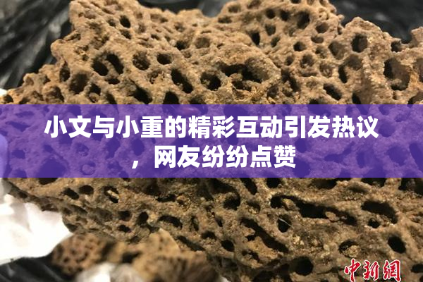 小文与小重的精彩互动引发热议，网友纷纷点赞