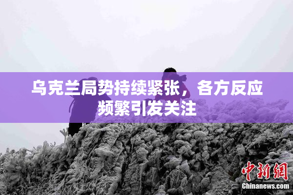 乌克兰局势持续紧张，各方反应频繁引发关注
