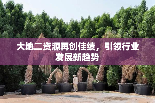 大地二资源再创佳绩，引领行业发展新趋势