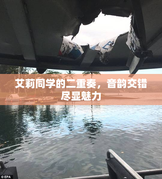 艾莉同学的二重奏，音韵交错尽显魅力