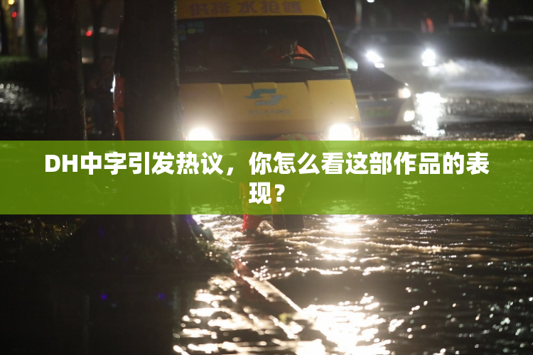 DH中字引发热议，你怎么看这部作品的表现？