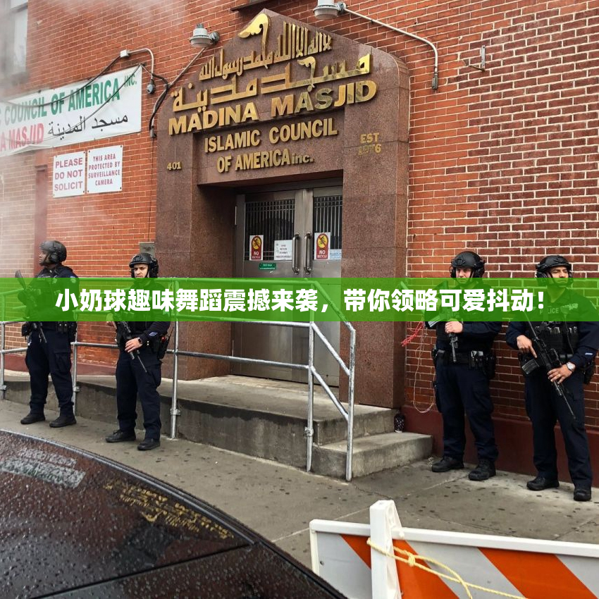 小奶球趣味舞蹈震撼来袭，带你领略可爱抖动！