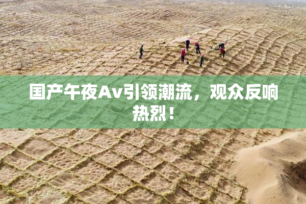 国产午夜Av引领潮流，观众反响热烈！