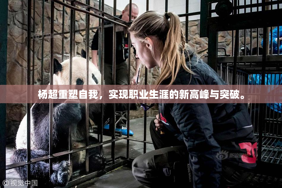 杨超重塑自我，实现职业生涯的新高峰与突破。