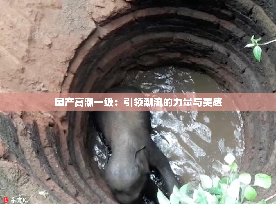 国产高潮一级：引领潮流的力量与美感