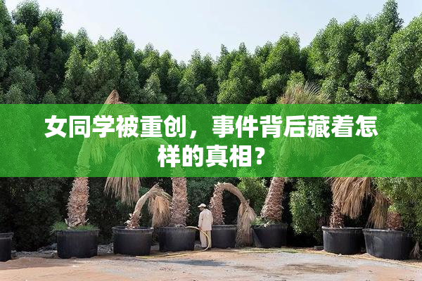 女同学被重创，事件背后藏着怎样的真相？