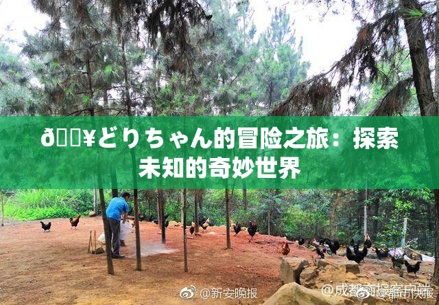 🔥どりちゃん的冒险之旅：探索未知的奇妙世界
