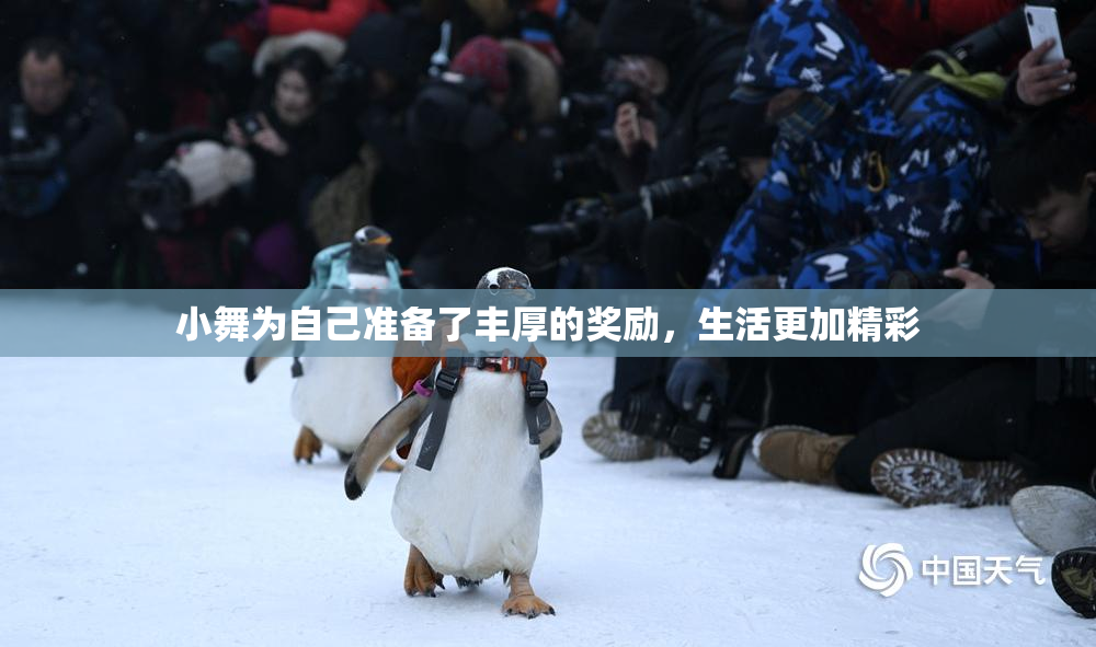 小舞为自己准备了丰厚的奖励，生活更加精彩
