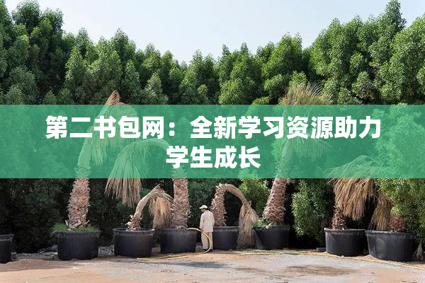 第二书包网：全新学习资源助力学生成长