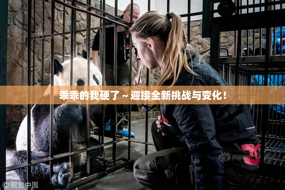 乖乖的我硬了～迎接全新挑战与变化！