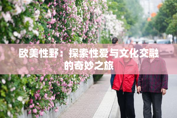 欧美性野：探索性爱与文化交融的奇妙之旅