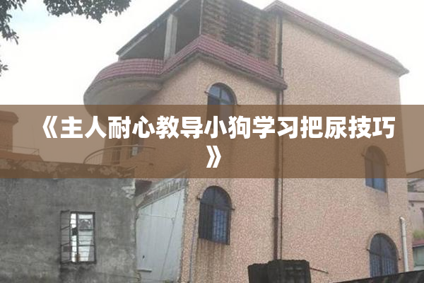 《主人耐心教导小狗学习把尿技巧》