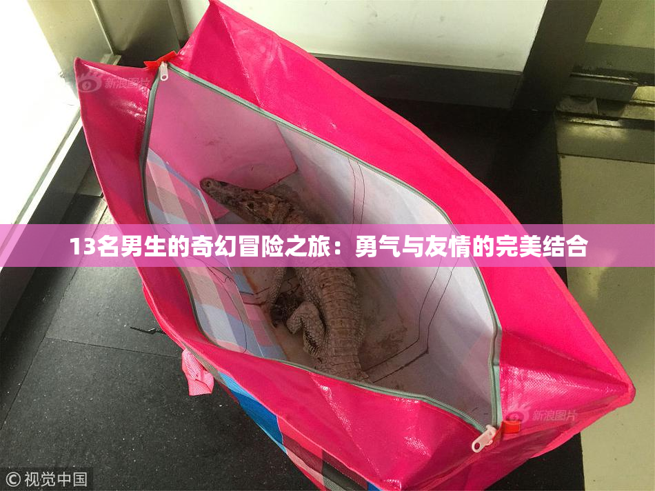 13名男生的奇幻冒险之旅：勇气与友情的完美结合