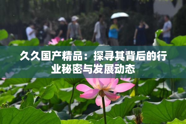 久久国产精品：探寻其背后的行业秘密与发展动态