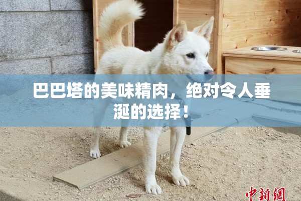 巴巴塔的美味精肉，绝对令人垂涎的选择！