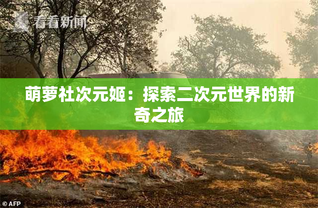萌萝社次元姬：探索二次元世界的新奇之旅