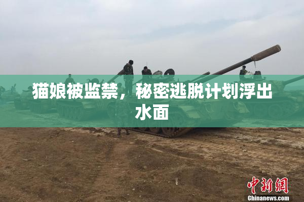 猫娘被监禁，秘密逃脱计划浮出水面