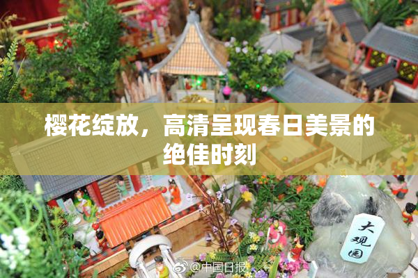 樱花绽放，高清呈现春日美景的绝佳时刻