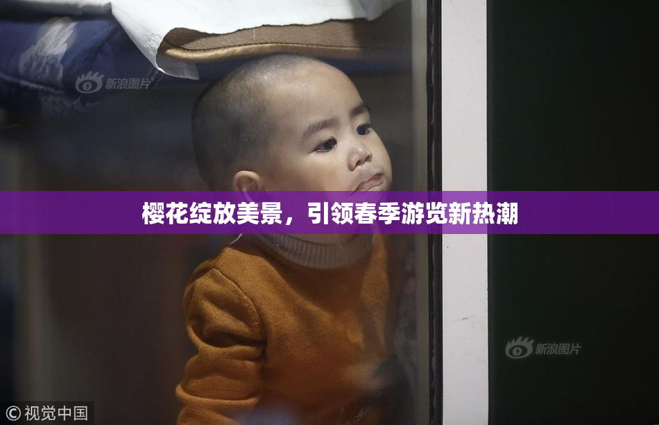 樱花绽放美景，引领春季游览新热潮