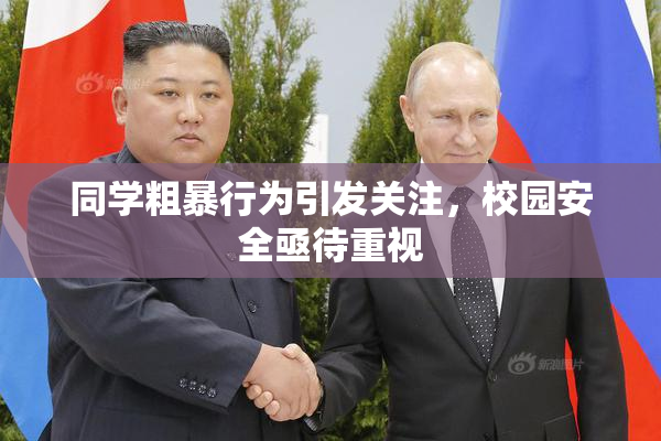同学粗暴行为引发关注，校园安全亟待重视