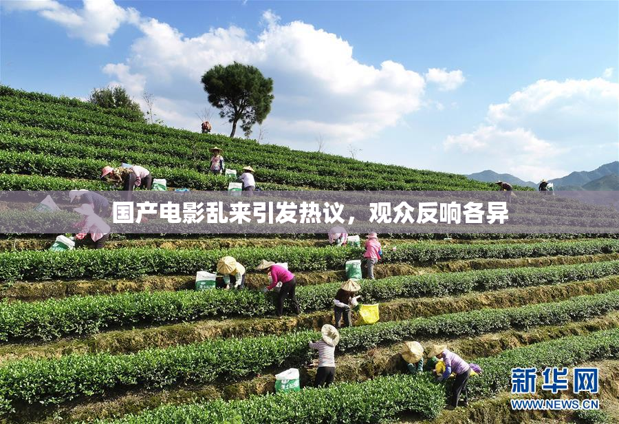 国产电影乱来引发热议，观众反响各异