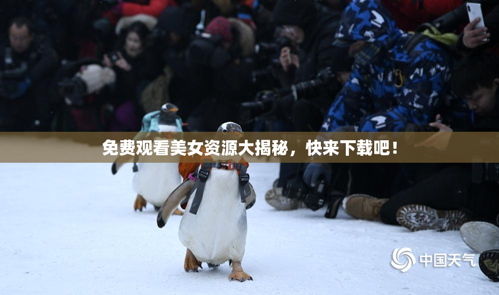 免费观看美女资源大揭秘，快来下载吧！
