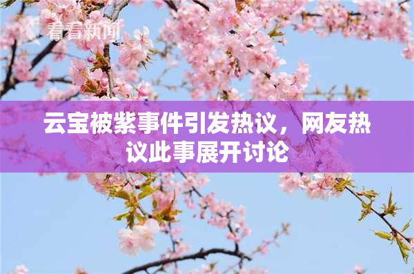 云宝被紫事件引发热议，网友热议此事展开讨论