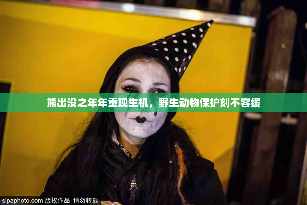 熊出没之年年重现生机，野生动物保护刻不容缓