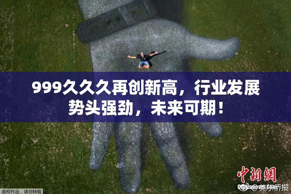 999久久久再创新高，行业发展势头强劲，未来可期！