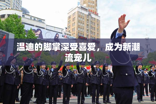 温迪的脚掌深受喜爱，成为新潮流宠儿