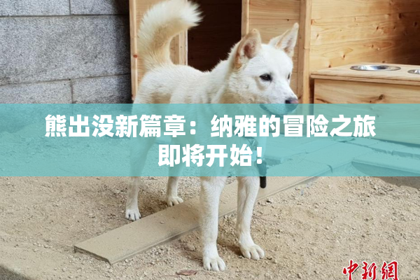 熊出没新篇章：纳雅的冒险之旅即将开始！