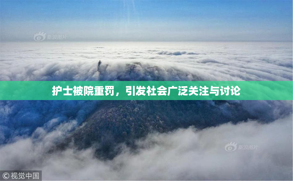 护士被院重罚，引发社会广泛关注与讨论