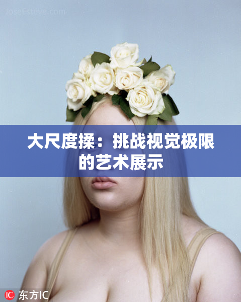 大尺度揉：挑战视觉极限的艺术展示