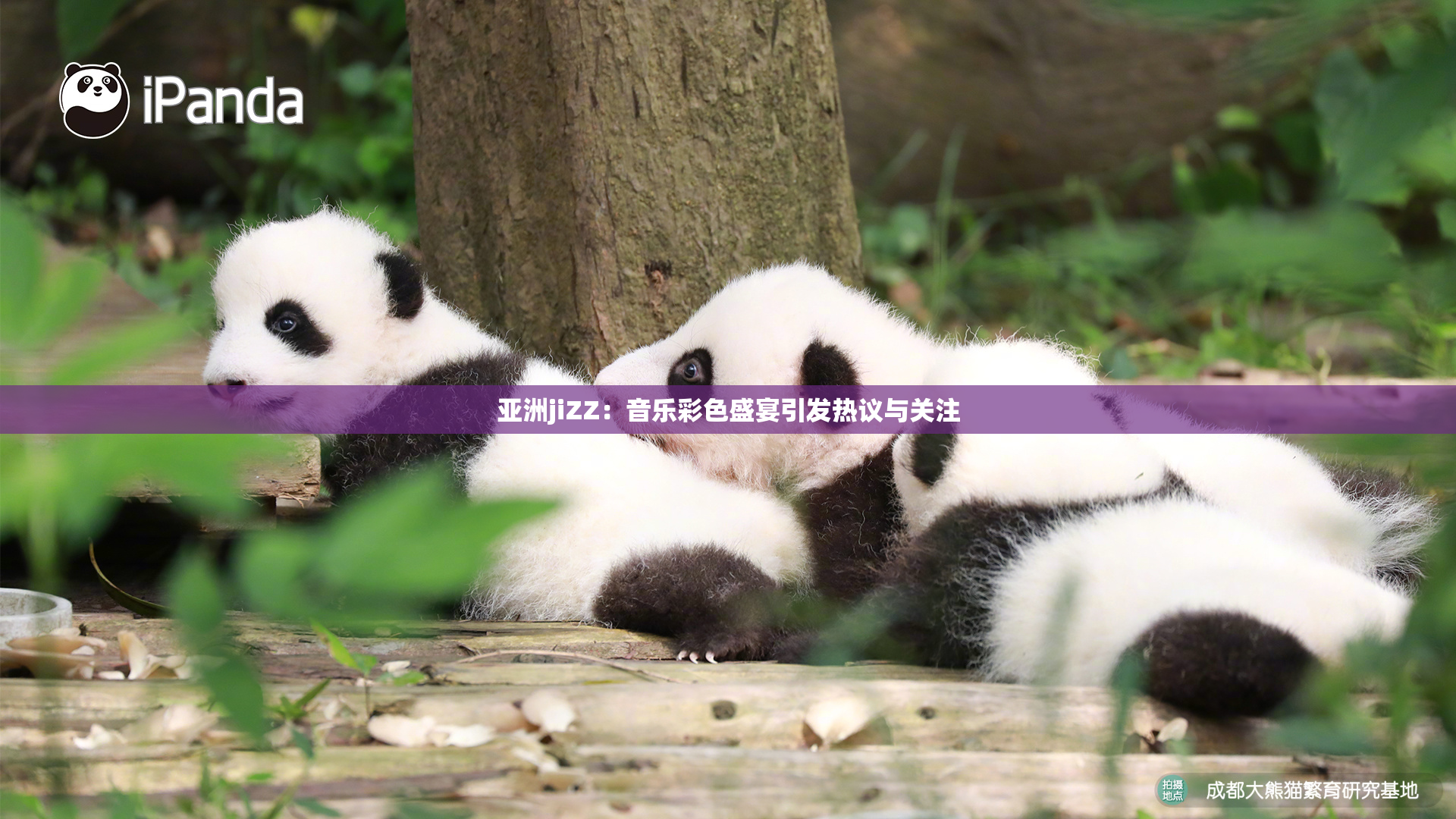 亚洲jiZZ：音乐彩色盛宴引发热议与关注