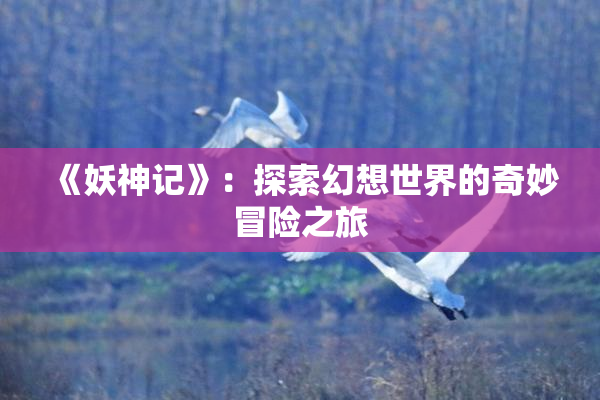 《妖神记》：探索幻想世界的奇妙冒险之旅