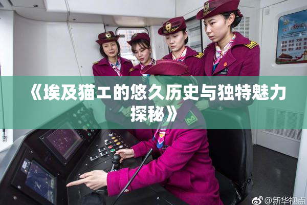 《埃及猫エ的悠久历史与独特魅力探秘》