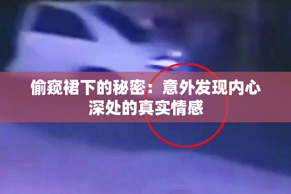 偷窥裙下的秘密：意外发现内心深处的真实情感