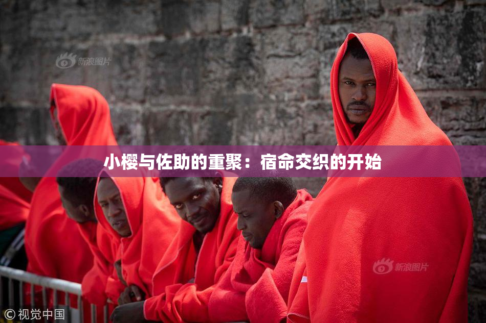 小樱与佐助的重聚：宿命交织的开始