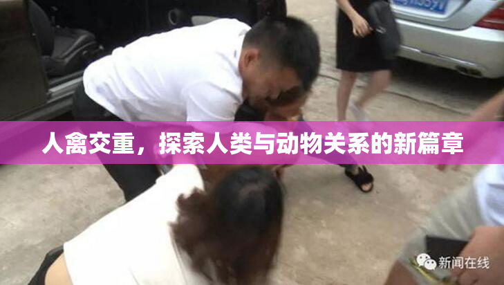 人禽交重，探索人类与动物关系的新篇章