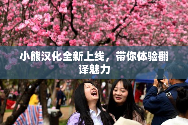 小熊汉化全新上线，带你体验翻译魅力