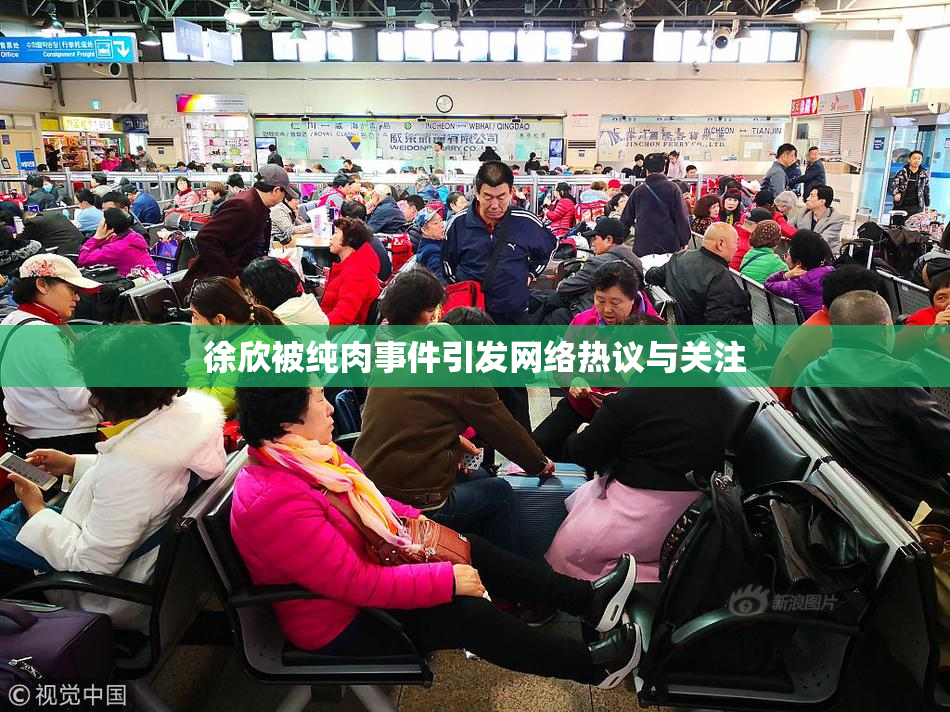 徐欣被纯肉事件引发网络热议与关注