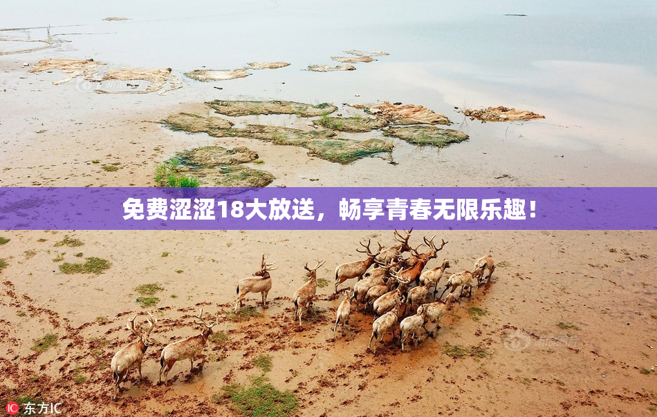 免费涩涩18大放送，畅享青春无限乐趣！