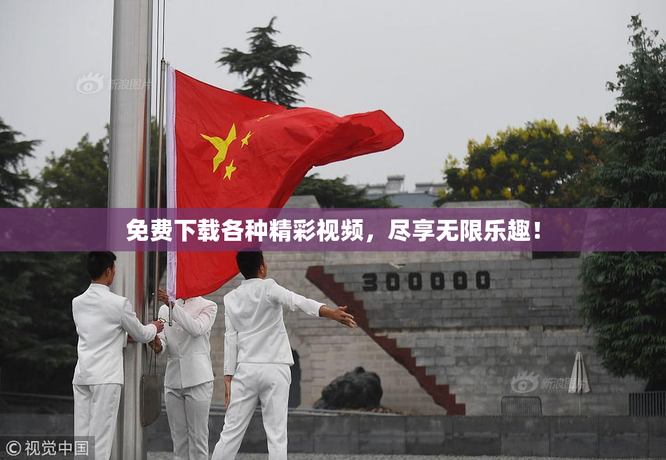 免费下载各种精彩视频，尽享无限乐趣！