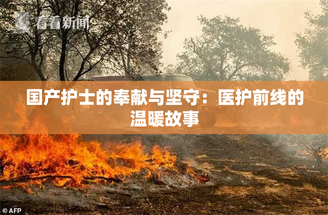 国产护士的奉献与坚守：医护前线的温暖故事