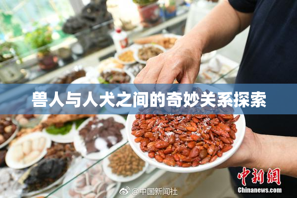 兽人与人犬之间的奇妙关系探索