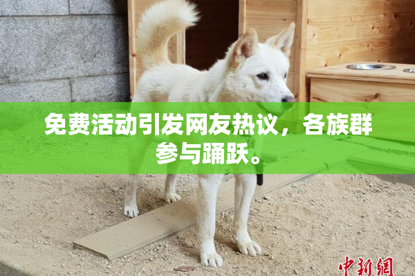 免费活动引发网友热议，各族群参与踊跃。