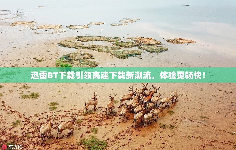 迅雷BT下载引领高速下载新潮流，体验更畅快！